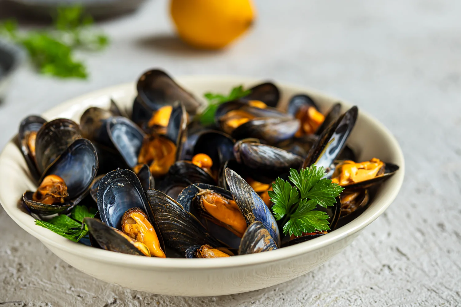 Gourmet Rouge - European Cuisine - Mussels